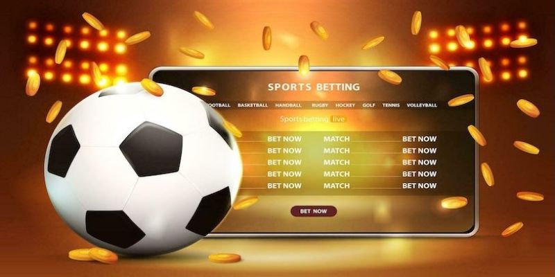 Cách theo dõi lịch bóng đá hôm nay hiệu quả