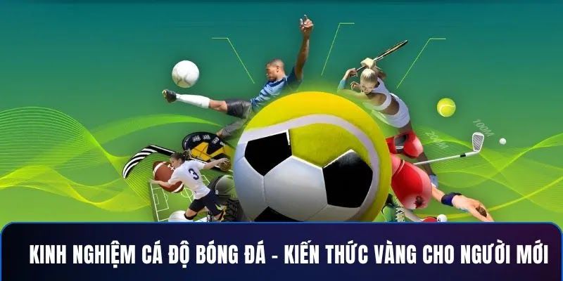 Tầm quan trọng của chiến lược cá độ trong cá cược thể thao